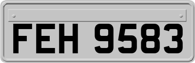 FEH9583