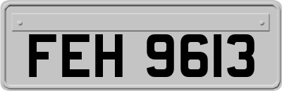 FEH9613