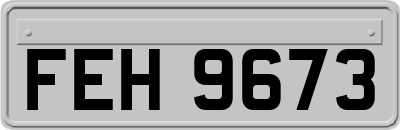 FEH9673
