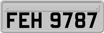 FEH9787