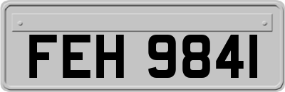 FEH9841