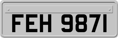 FEH9871