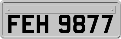 FEH9877