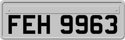 FEH9963