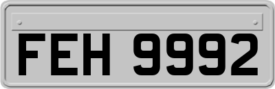 FEH9992