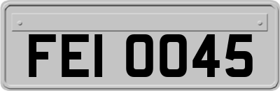 FEI0045