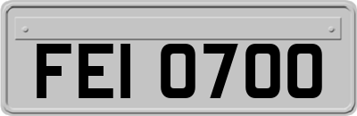 FEI0700