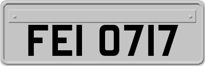 FEI0717
