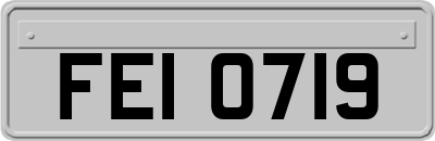 FEI0719