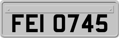 FEI0745