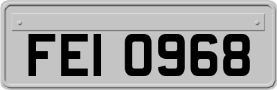 FEI0968