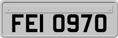FEI0970