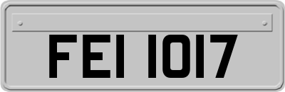 FEI1017