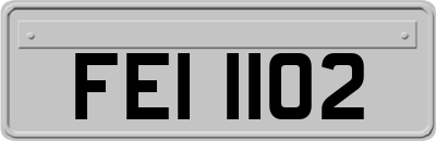 FEI1102