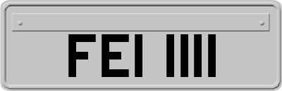FEI1111