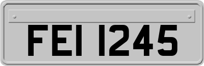 FEI1245