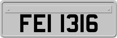 FEI1316