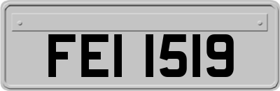 FEI1519