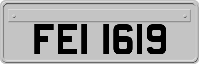 FEI1619