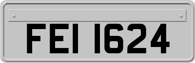 FEI1624