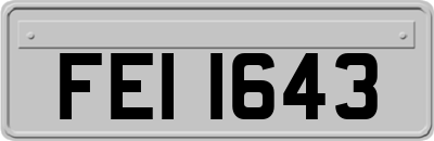 FEI1643