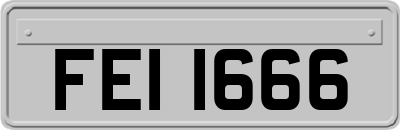 FEI1666