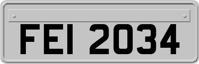 FEI2034