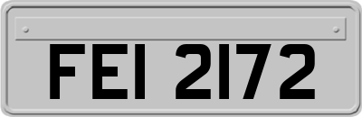 FEI2172