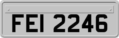 FEI2246