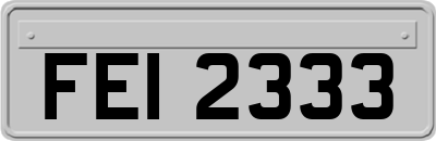 FEI2333