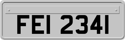 FEI2341