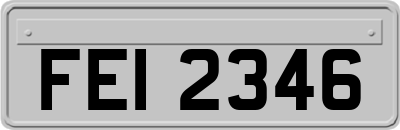 FEI2346