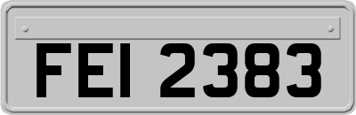 FEI2383