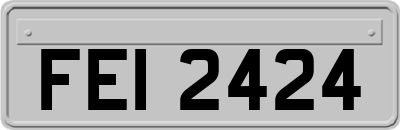 FEI2424