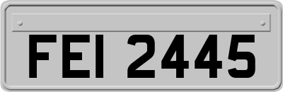 FEI2445