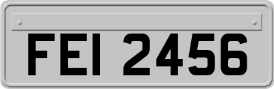 FEI2456