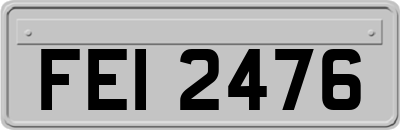 FEI2476