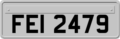 FEI2479
