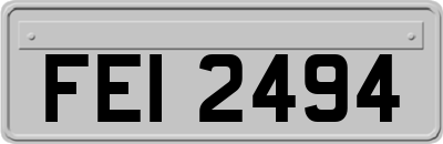 FEI2494