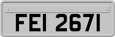 FEI2671