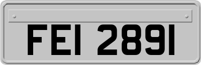 FEI2891