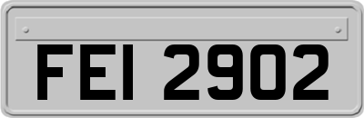 FEI2902