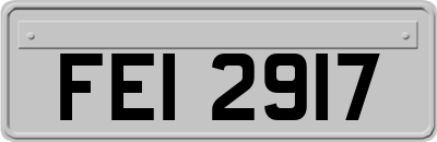 FEI2917