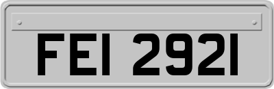 FEI2921