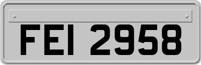 FEI2958