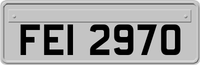 FEI2970