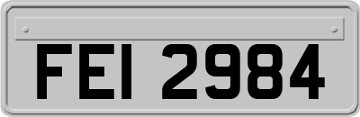 FEI2984