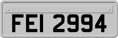 FEI2994