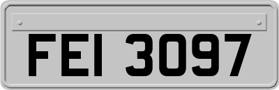 FEI3097