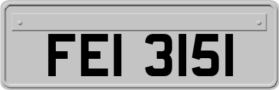 FEI3151